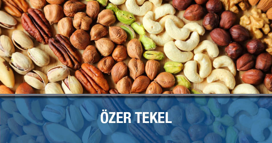 Özer Tekel