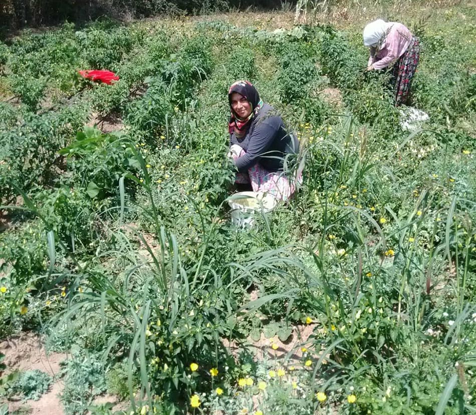 Manyas Köy Pazarı Köylü Osman'dan Doğal Lezzetler