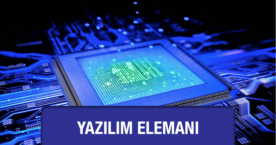 Güvenlik Sistemlerine Yazılım Elemanı