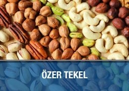 Özer Tekel