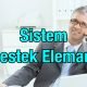 Sistem Destek Elemanı