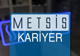 Metsis Kariyer