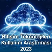 Bilişim Teknolojileri Kullanım Araştırması 2023 TÜİK