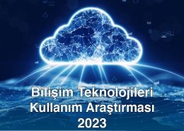 Bilişim Teknolojileri Kullanım Araştırması 2023 TÜİK