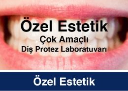 Özel Estetik Diş Protez Laboratuvarı