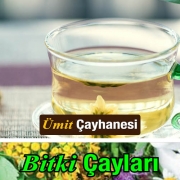 Bitki Çayları Bitki Çayı Çeşitleri Perpa