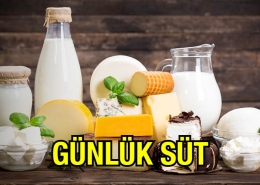 Günlük Süt Jersey İnek Sütü