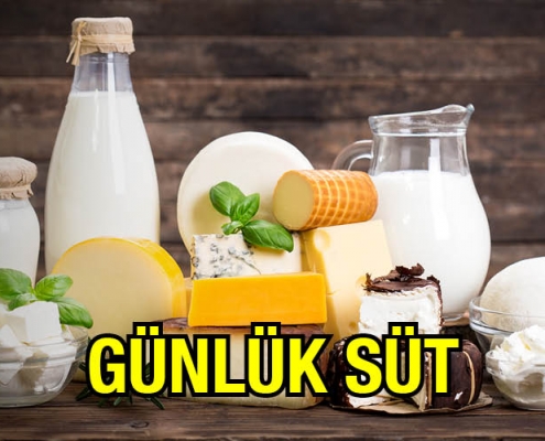 Günlük Süt Jersey İnek Sütü