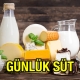 Günlük Süt Jersey İnek Sütü