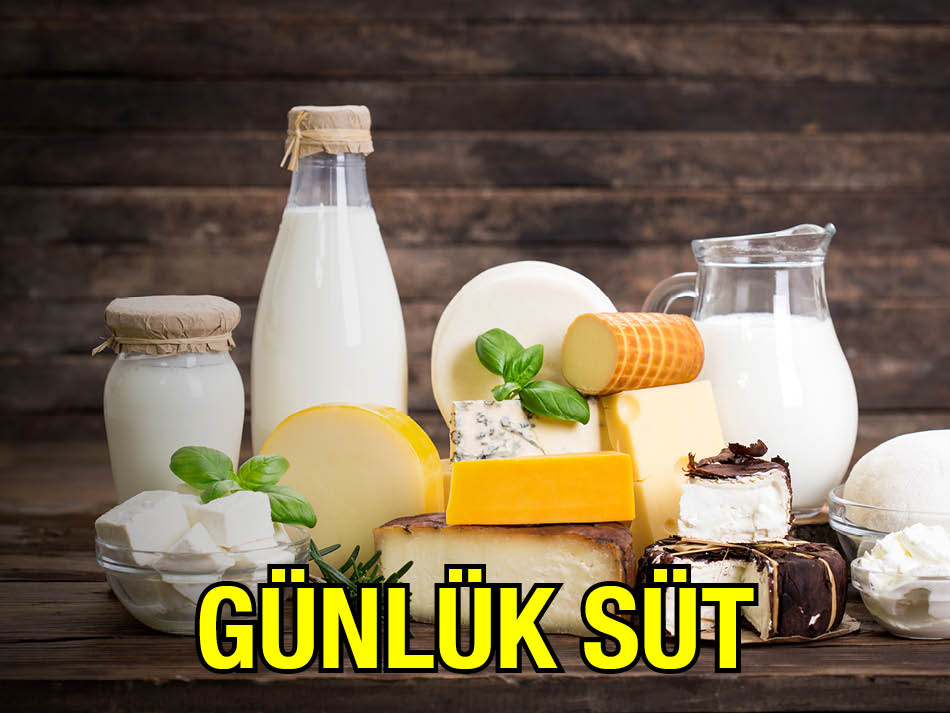 Günlük Süt Jersey İnek Sütü