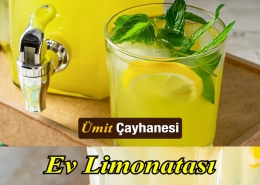 Ev Limonatası Perpa