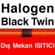 Ardonat Halogen Black Twin Dış Mekan Isıtıcı